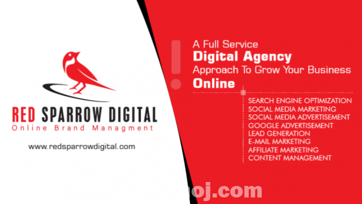 Red Sparrow Digital - Web, SEO & Digital Marketing Agency